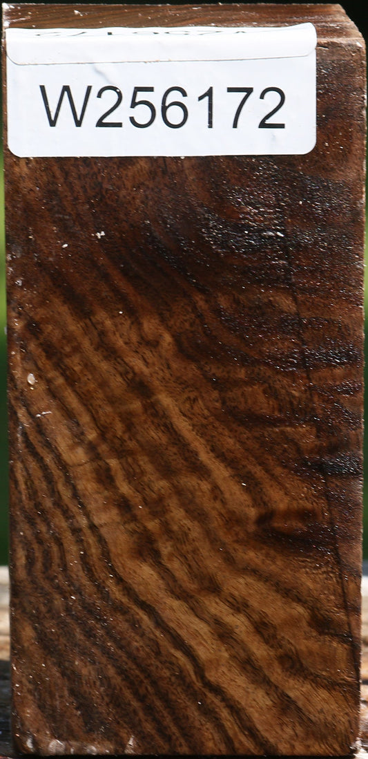 Claro Walnut Turning Square