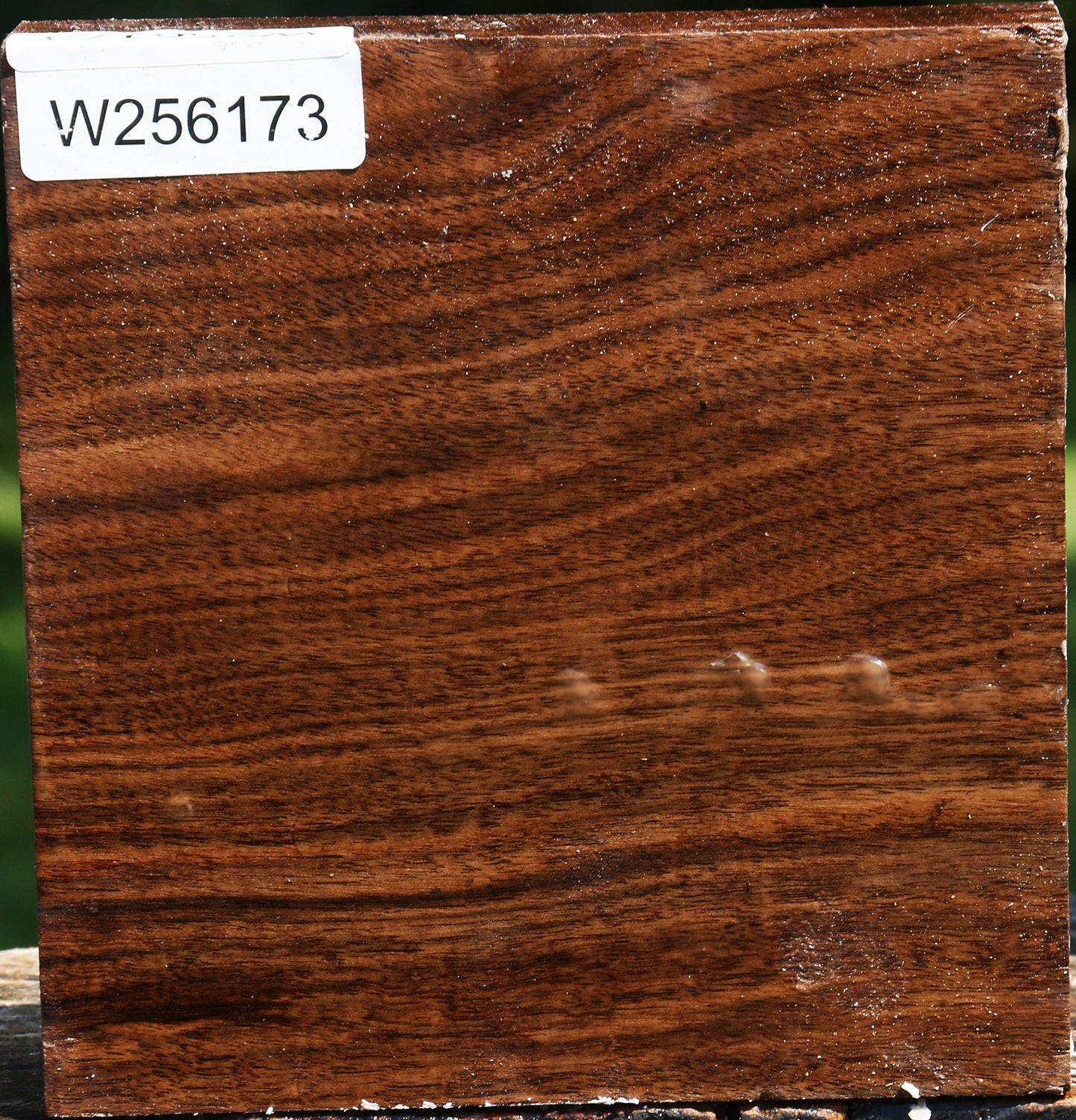 Claro Walnut Bowl Blank