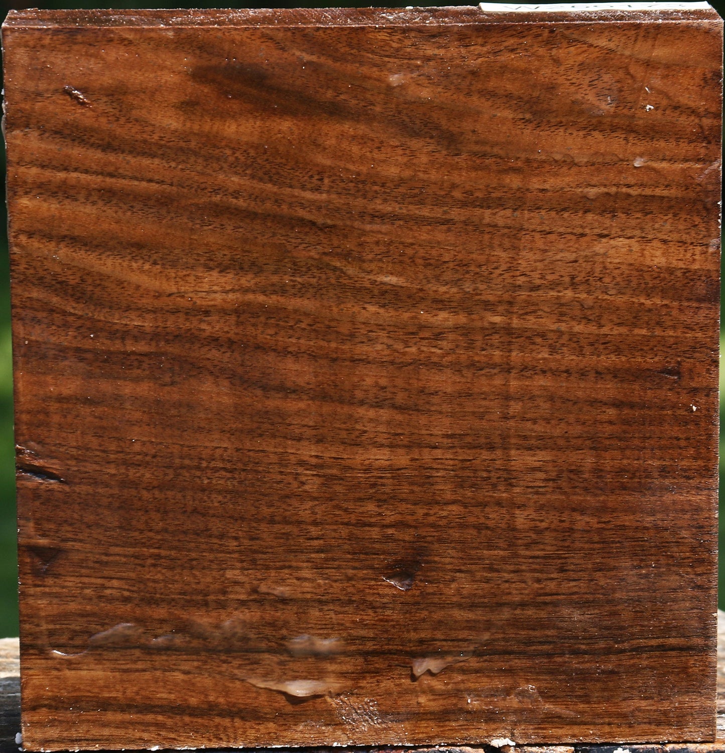 Claro Walnut Bowl Blank
