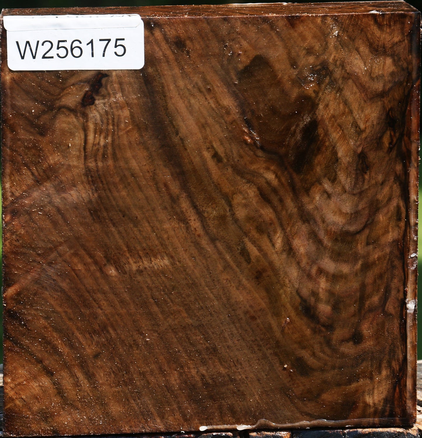 Figured Claro Walnut Bowl Blank