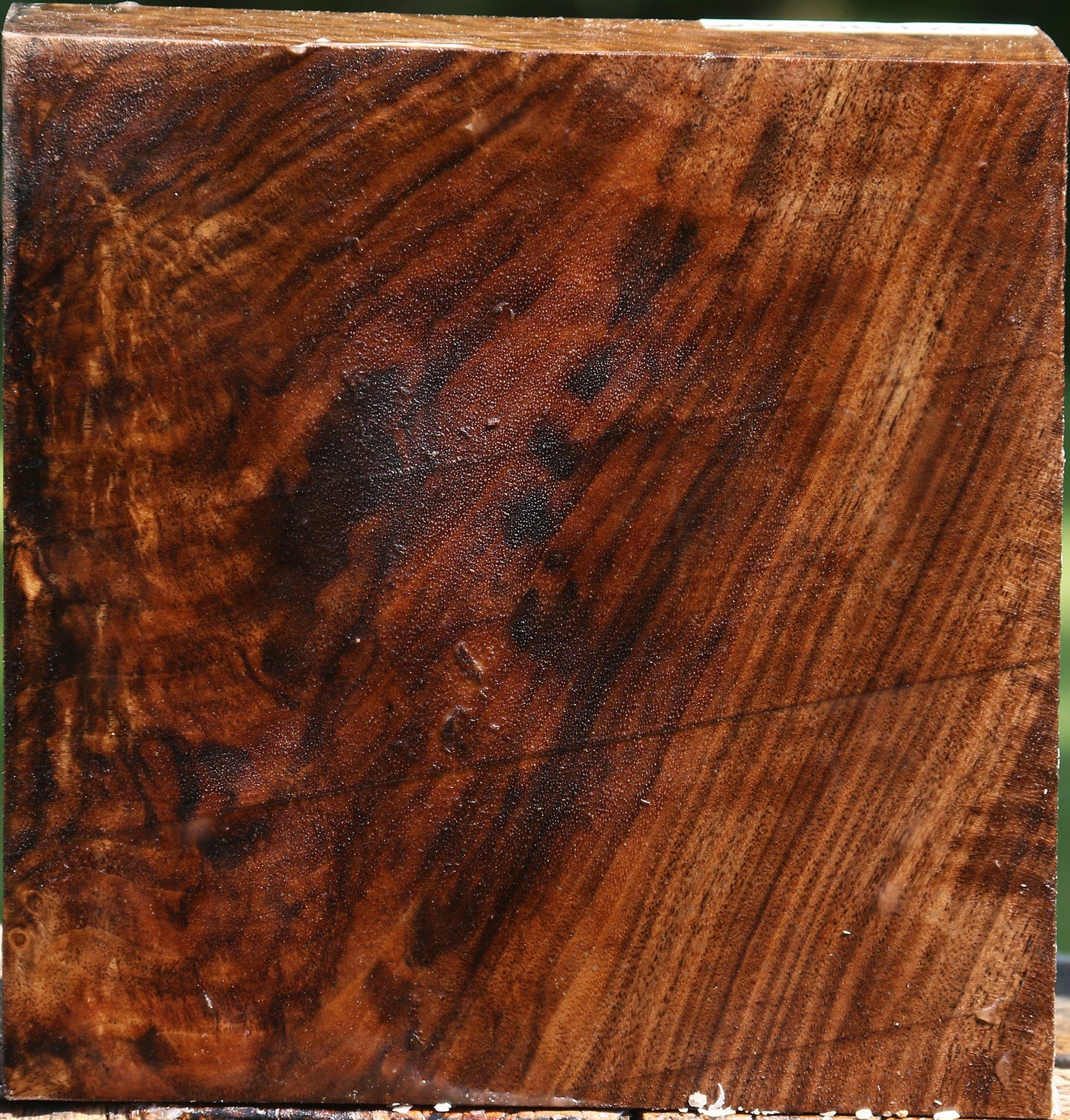 Figured Claro Walnut Bowl Blank