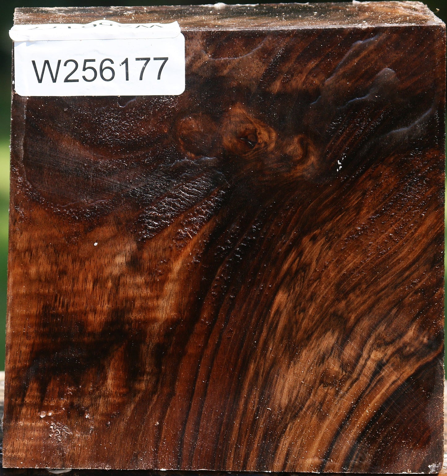 Figured Claro Walnut Bowl Blank