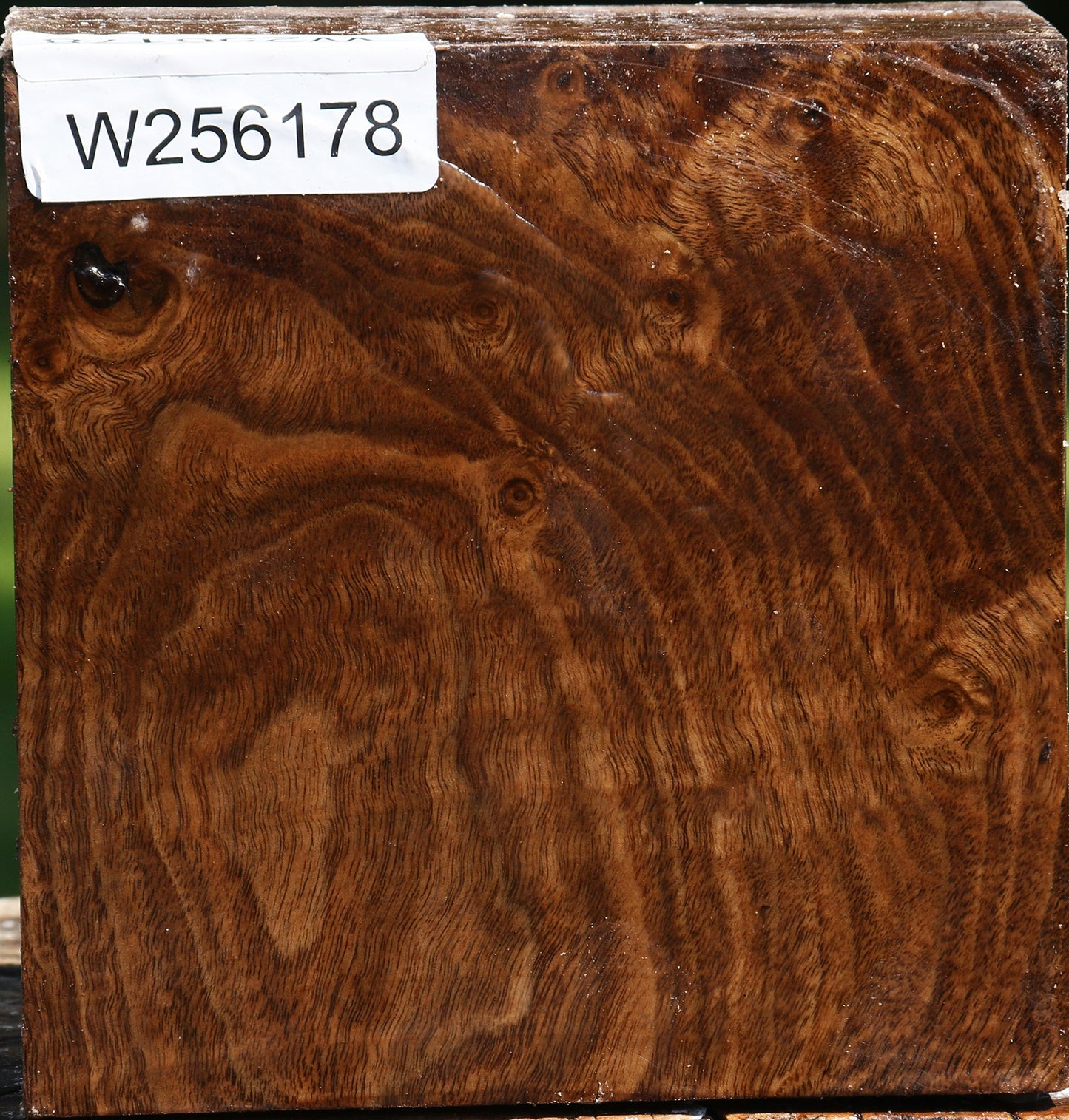 Claro Walnut Bowl Blank
