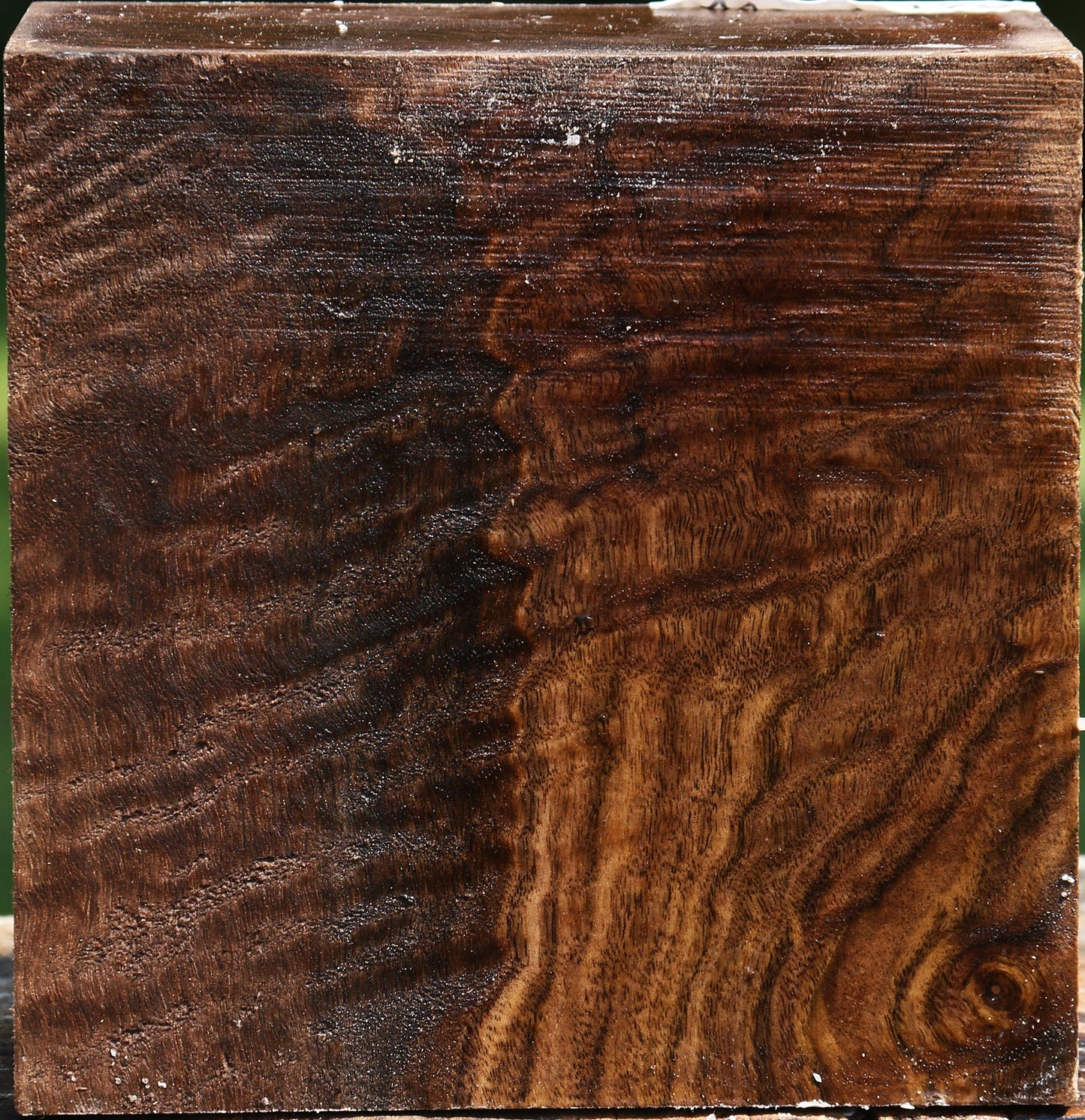Extra Fancy Claro Walnut Bowl Blank