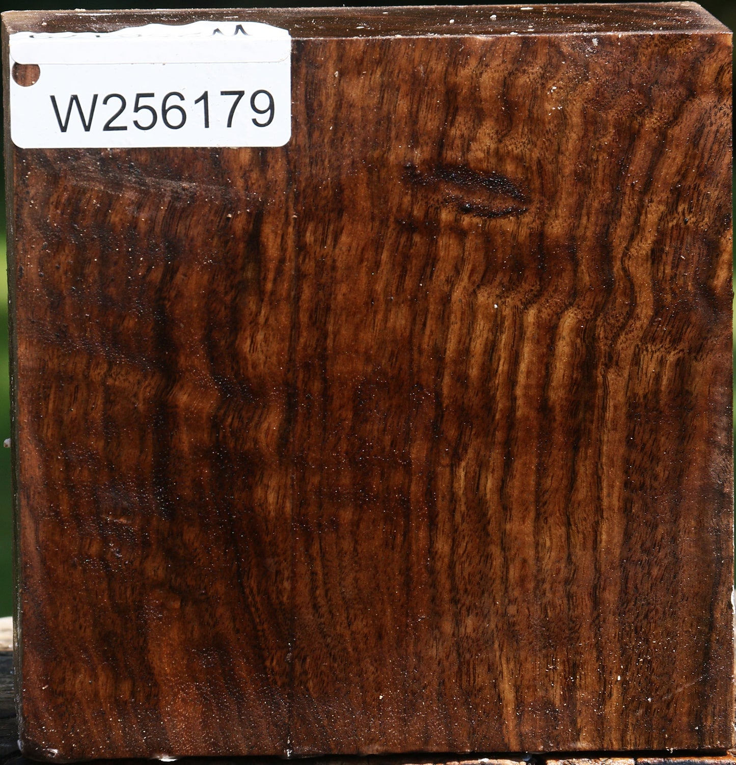 Extra Fancy Claro Walnut Bowl Blank