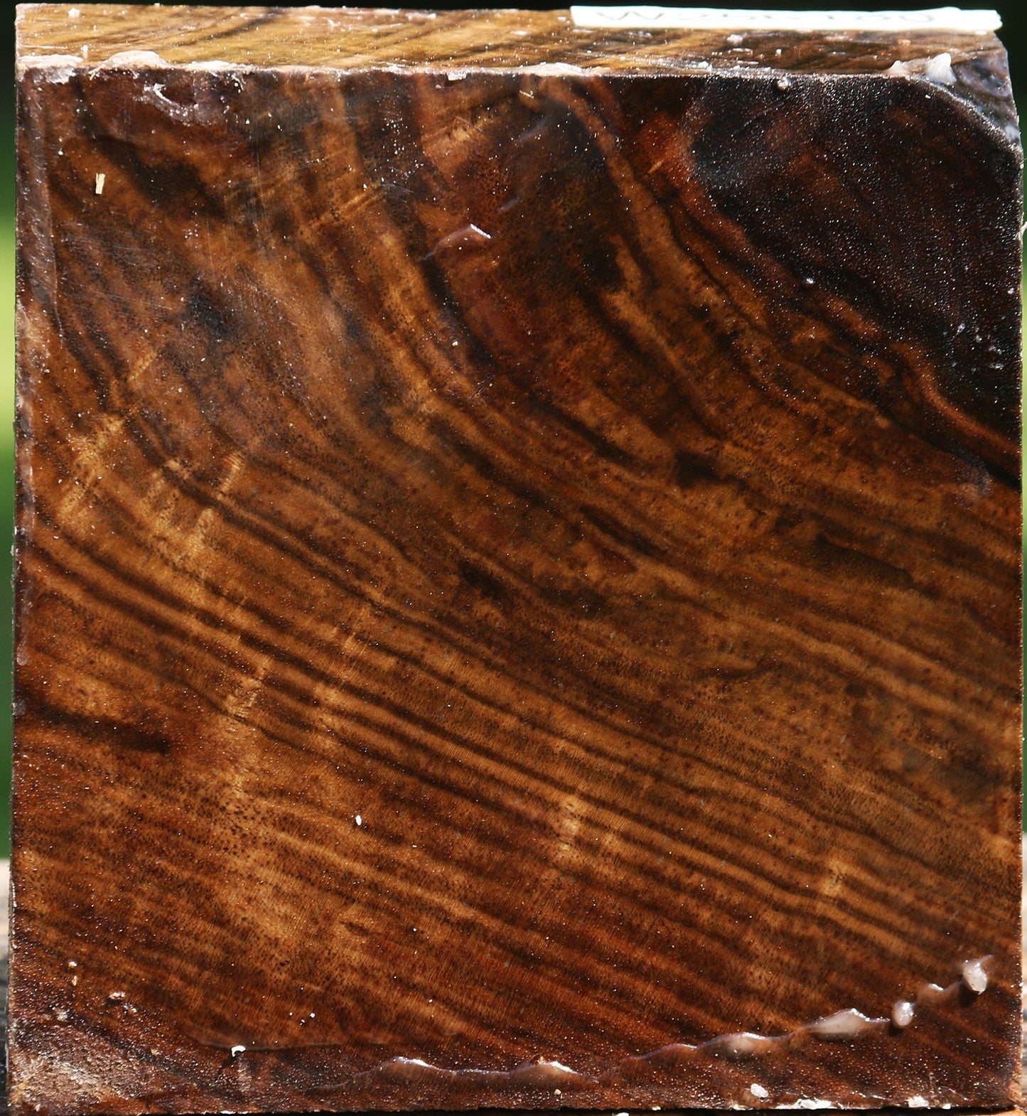Figured Claro Walnut Bowl Blank
