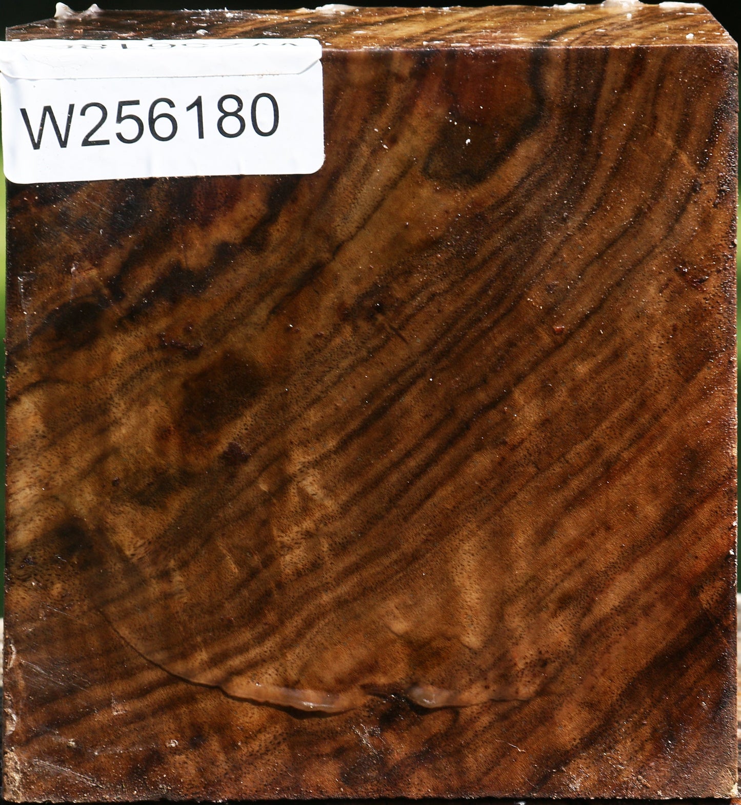 Figured Claro Walnut Bowl Blank