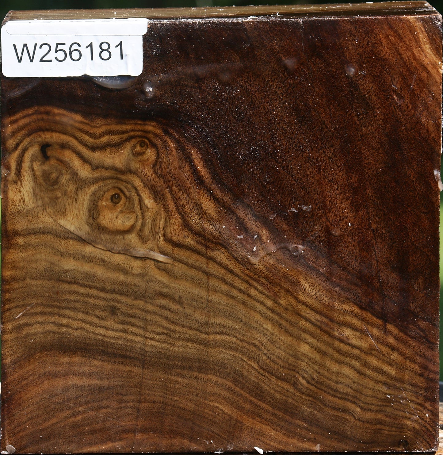 Claro Walnut Bowl Blank