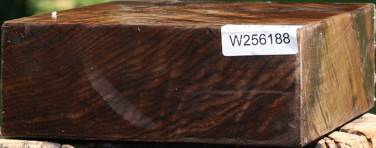 Extra Fancy Claro Walnut Bowl Blank