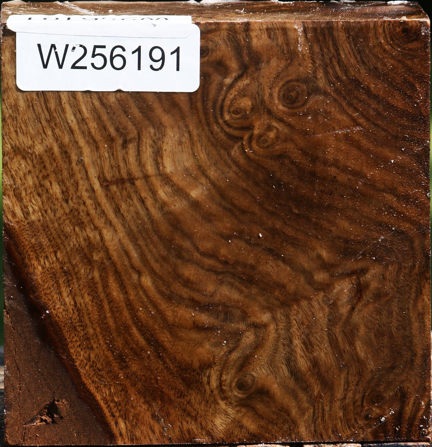Figured Claro Walnut Bowl Blank