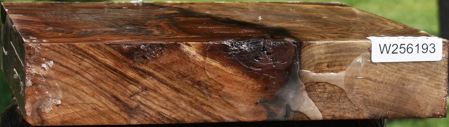 Grafted Claro/English Walnut Platter Blank