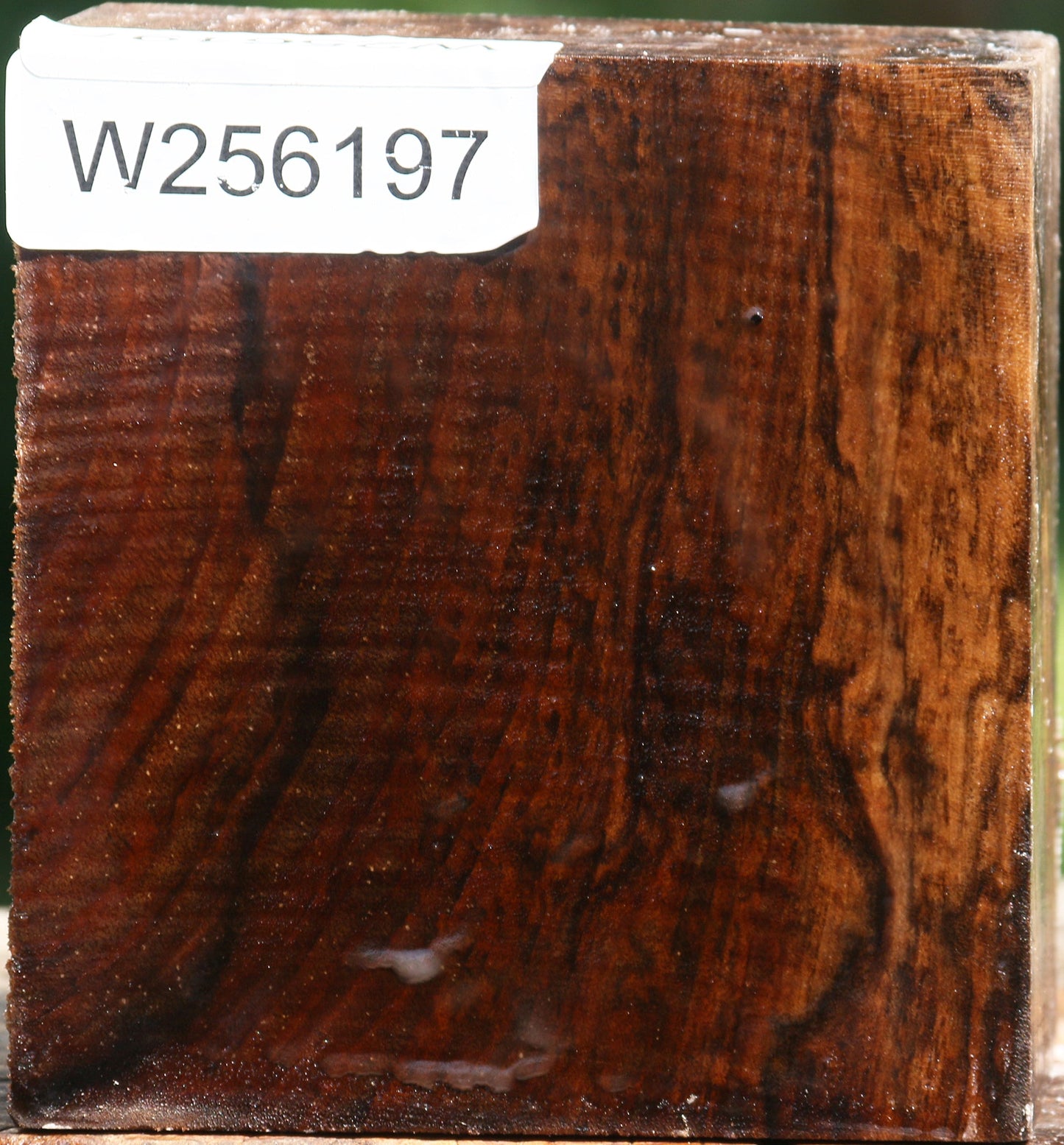 Claro Walnut Bowl Blank