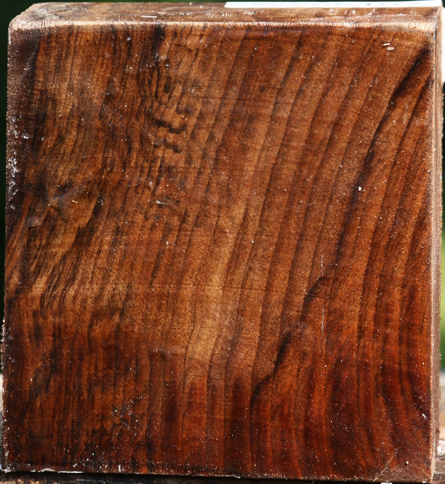 Claro Walnut Bowl Blank