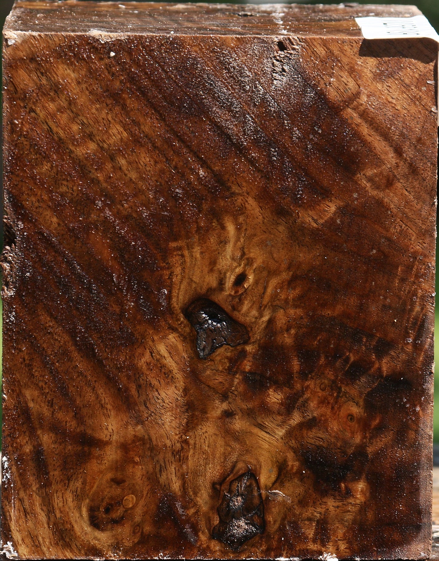 Claro Walnut Turning Blank
