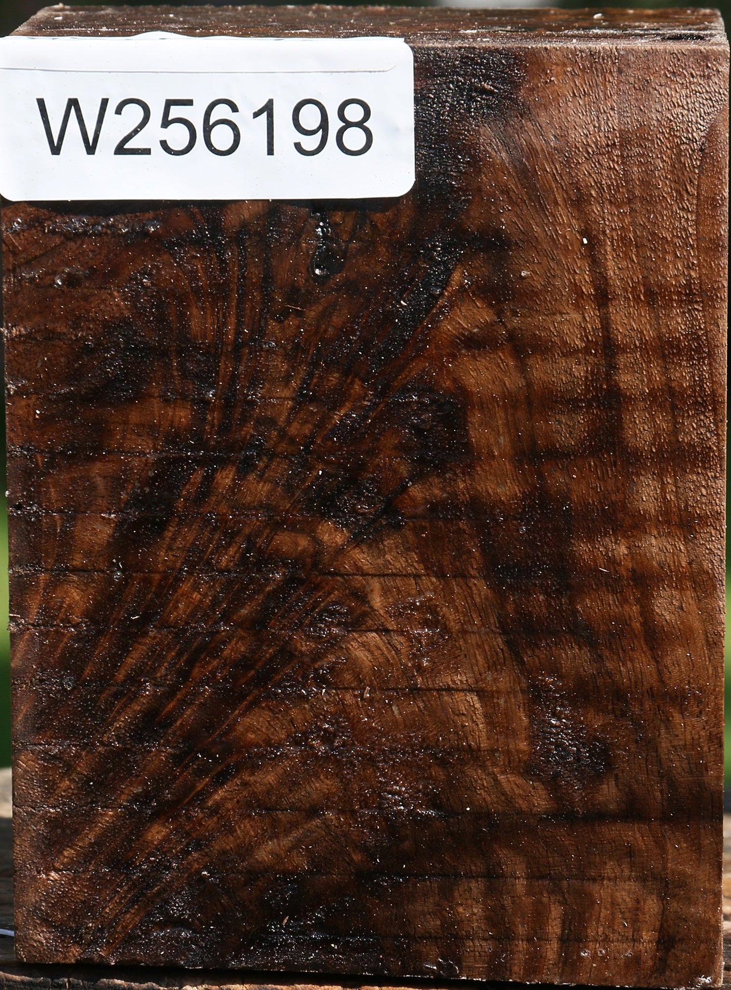 Claro Walnut Turning Blank