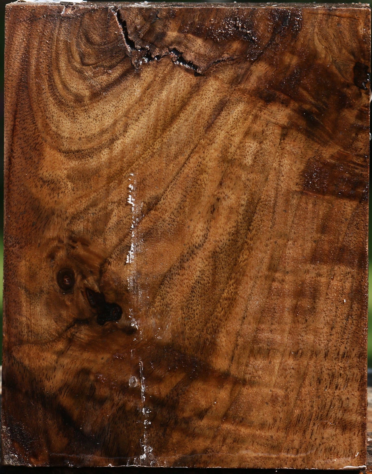 Claro Walnut Turning Blank