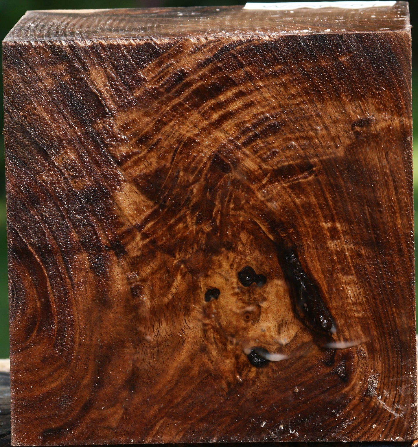 Figured Claro Walnut Bowl Blank