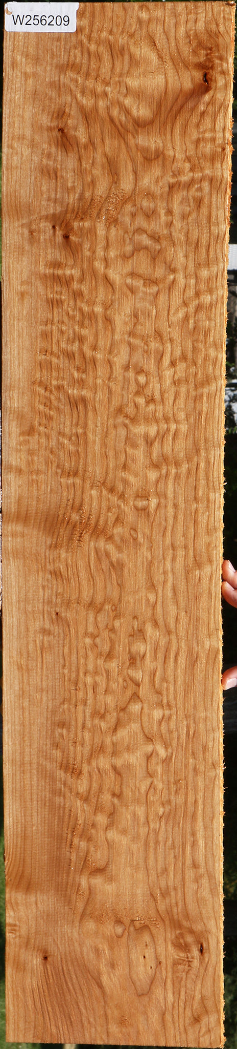 Quilted Maple Lumber
