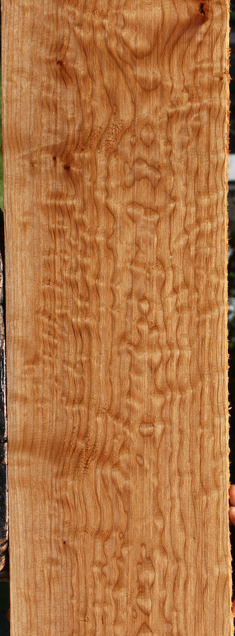 Quilted Maple Lumber