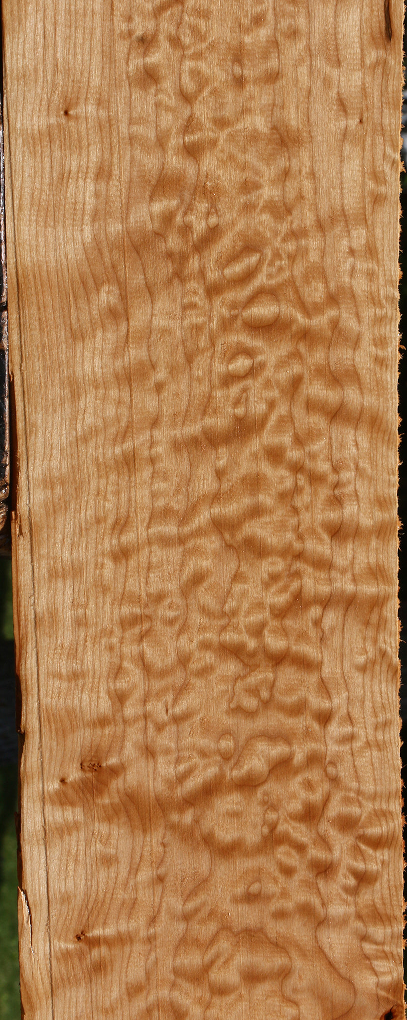 Quilted Maple Lumber