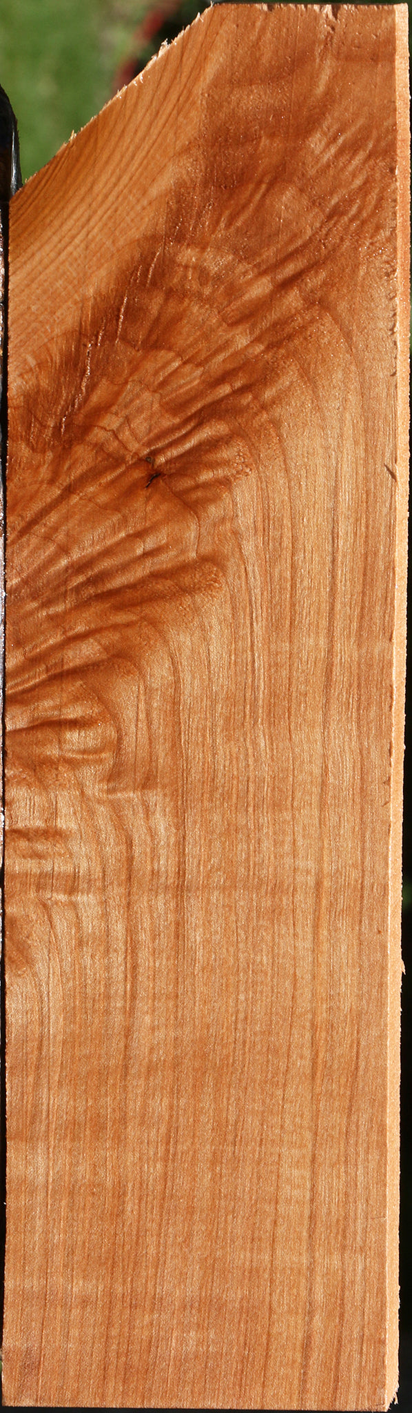 Extra Fancy Maple Lumber