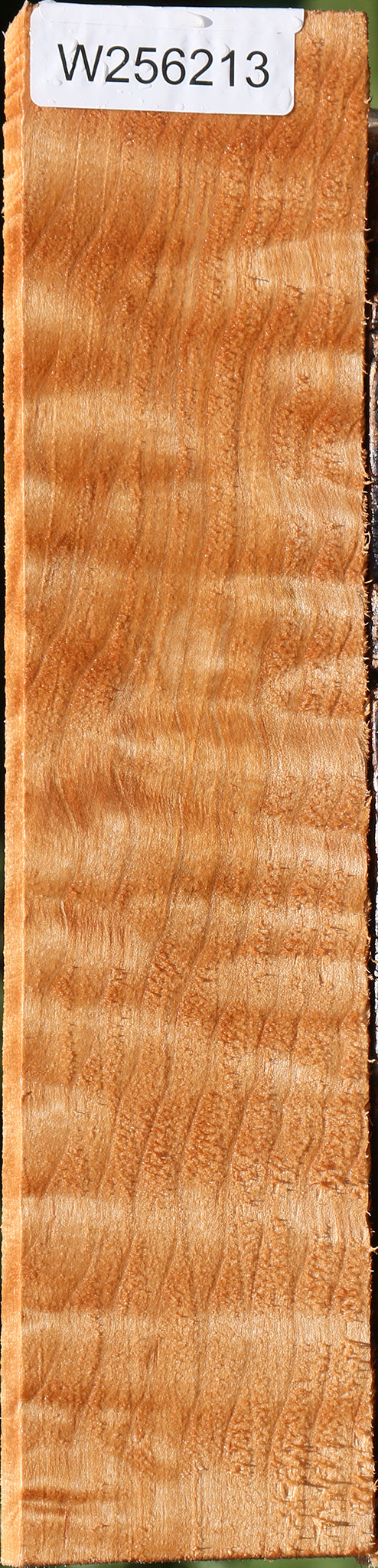 Extra Fancy Quilted Maple Lumber