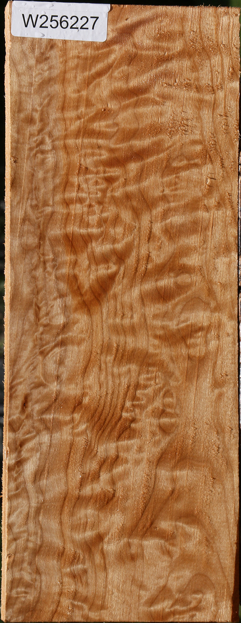 Extra Fancy Quilted Maple Lumber