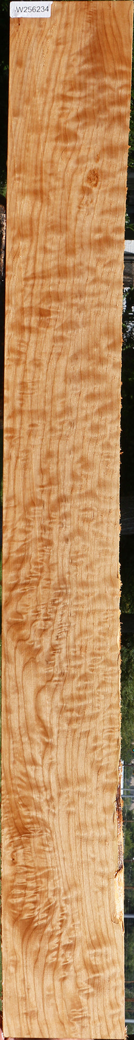 Extra Fancy Quilted Maple Lumber