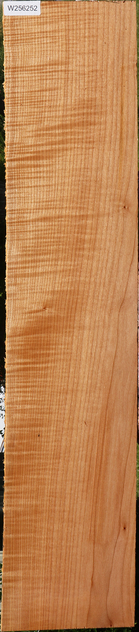 Extra Fancy Maple Lumber