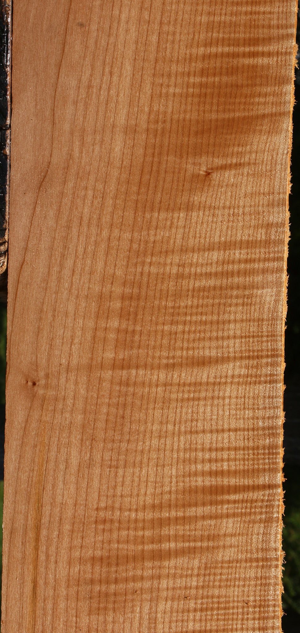 Extra Fancy Maple Lumber