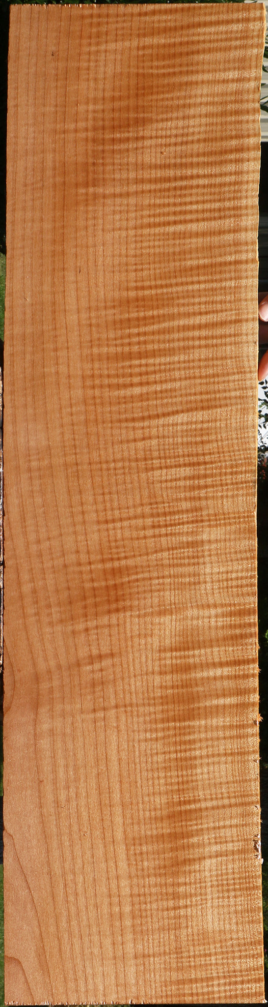 Extra Fancy Maple Lumber