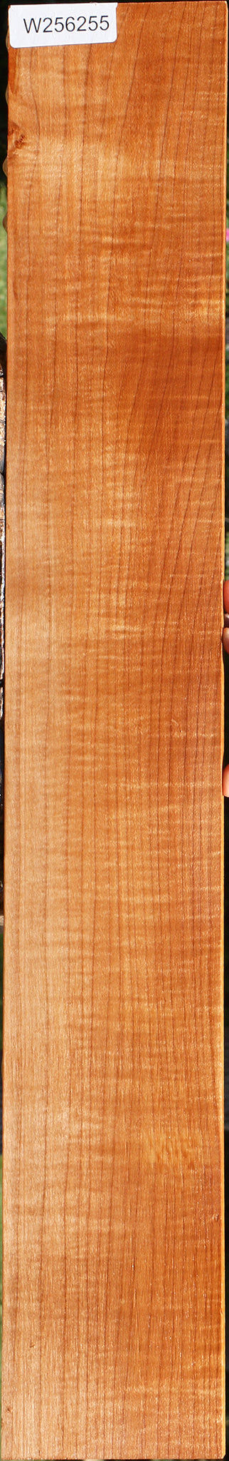 Extra Fancy Maple Lumber
