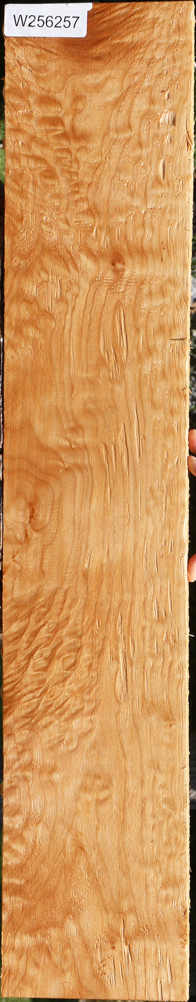 Figured Maple Lumber