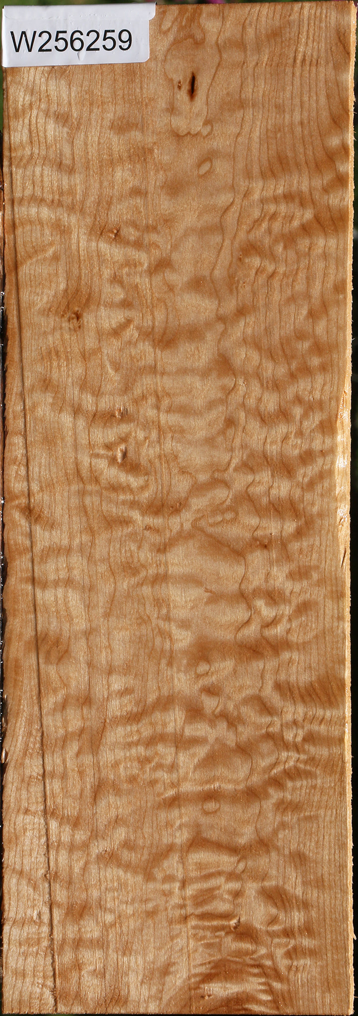 Extra Fancy Maple Lumber