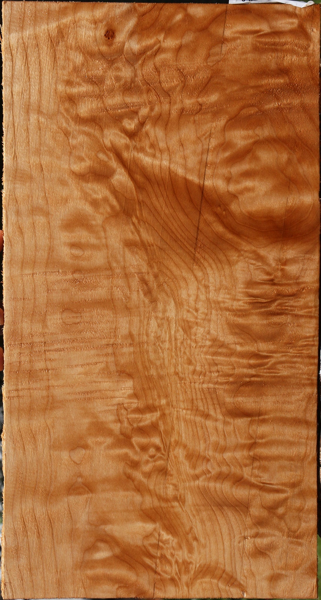 Extra Fancy Quilted Rustic Maple Micro Lumber