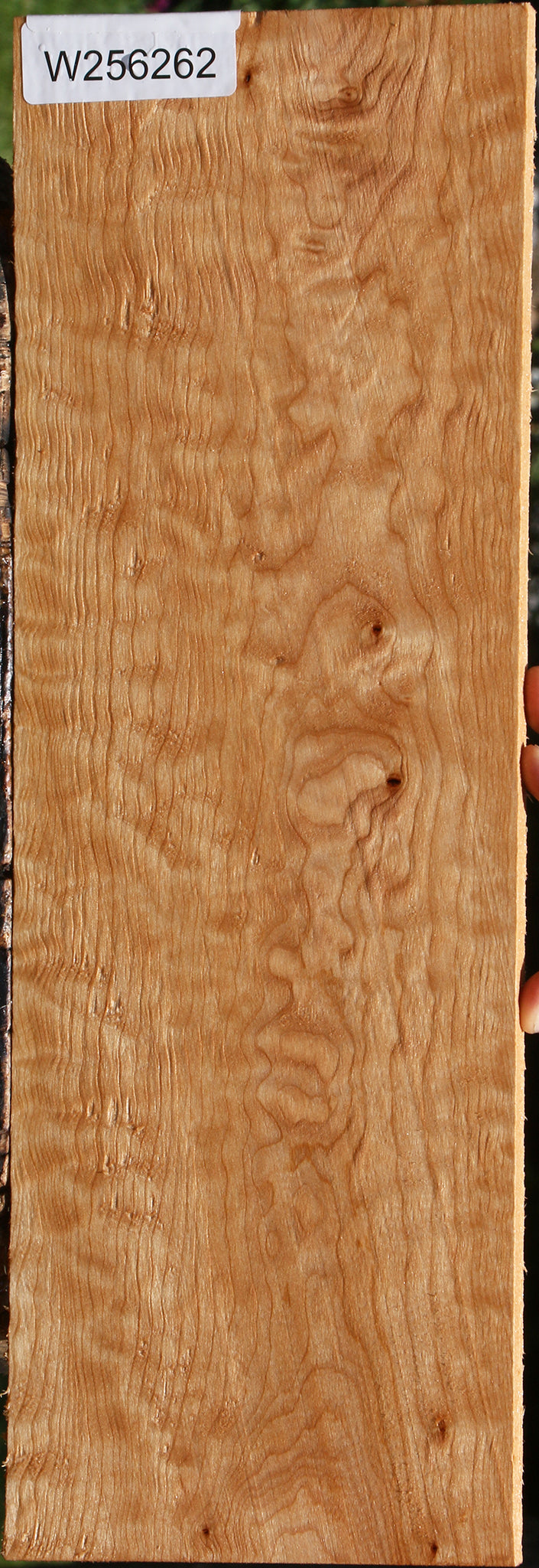 Extra Fancy Quilted Maple Micro Lumber