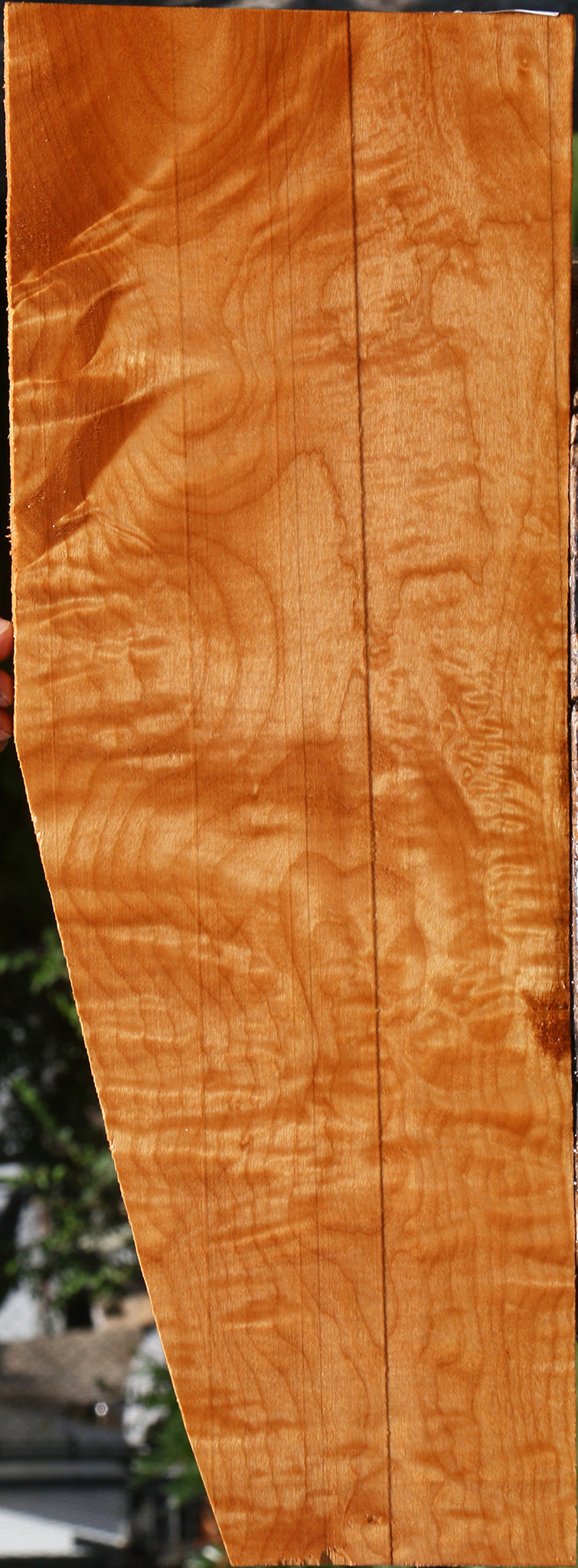 Extra Fancy Maple Lumber