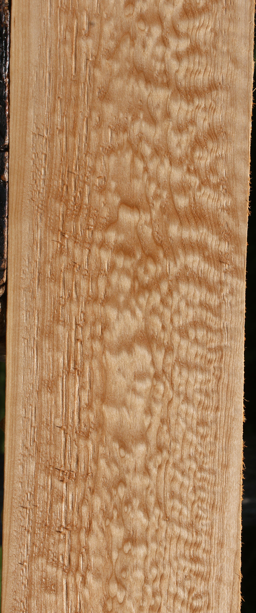 Extra Fancy Maple Lumber