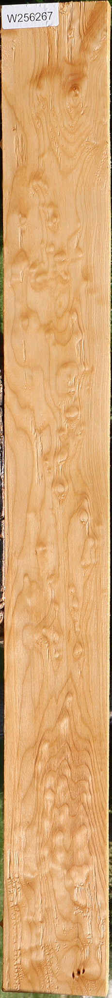 Figured Quilted Maple Lumber