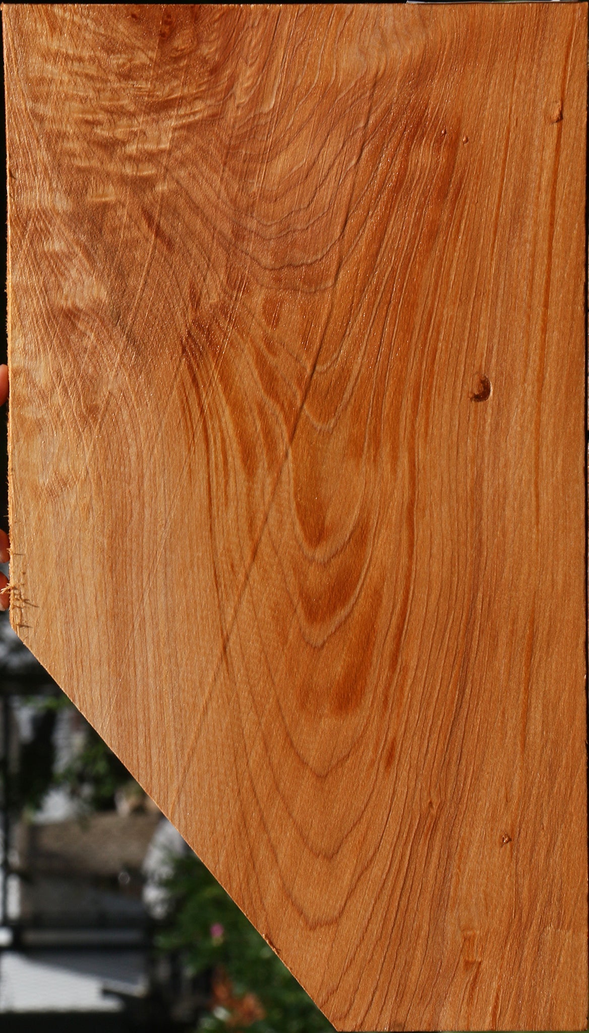 Maple Lumber