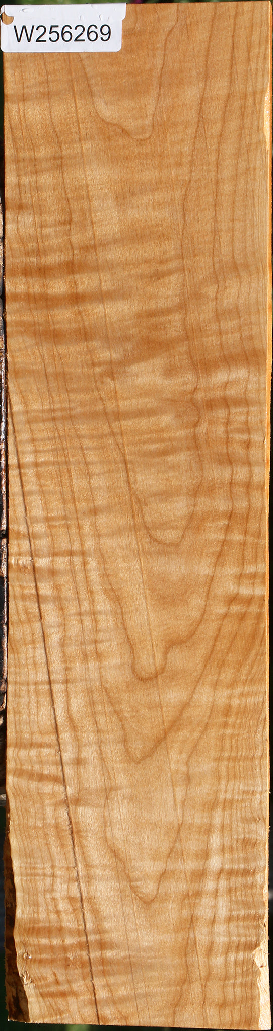 Extra Fancy Maple Lumber