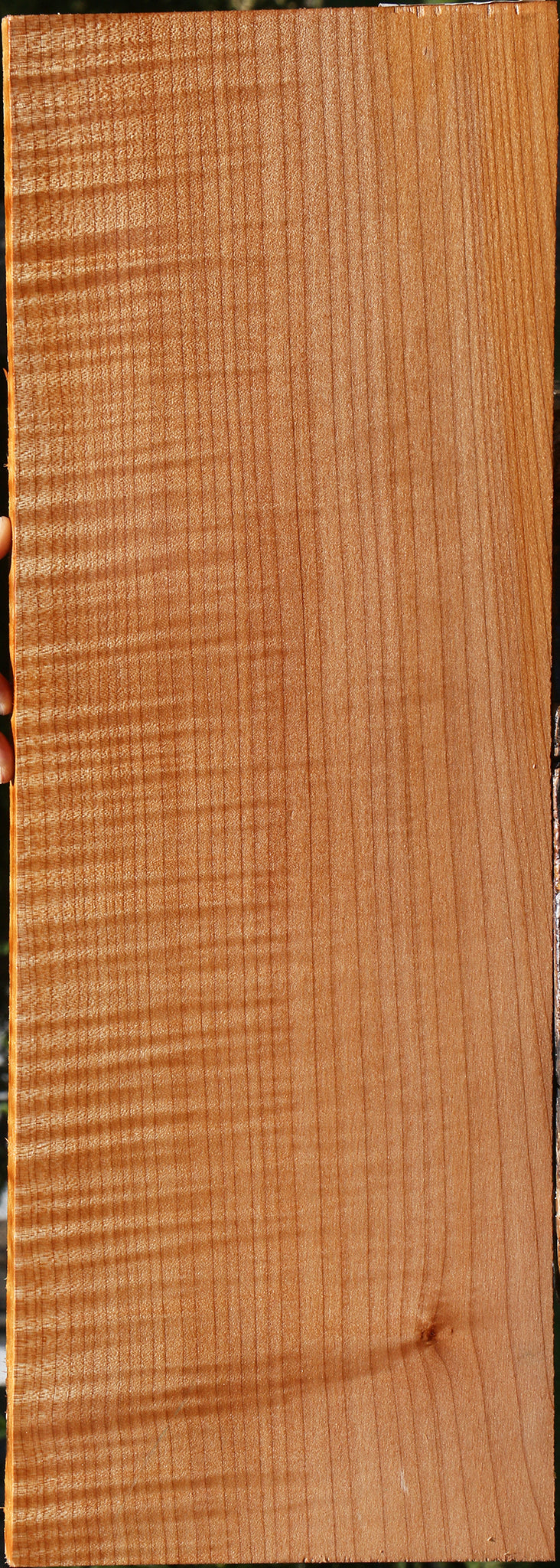 Extra Fancy Maple Lumber
