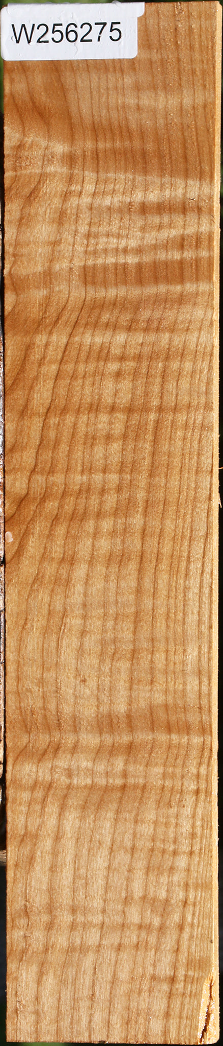 Extra Fancy Maple Lumber