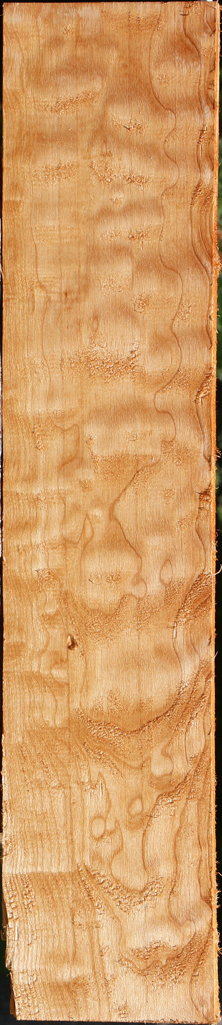 Extra Fancy Quilted Maple Lumber