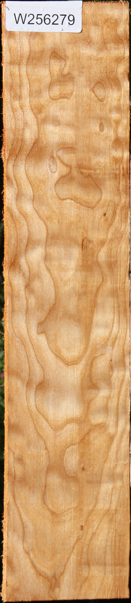 Extra Fancy Quilted Maple Lumber