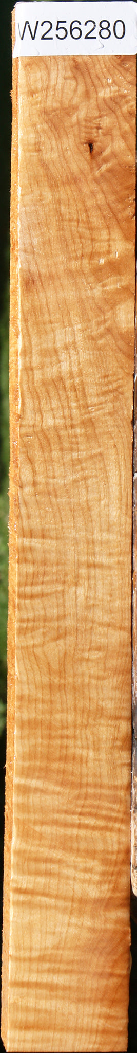 Extra Fancy Maple Lumber