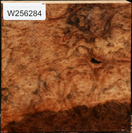 Madrone Burl Bowl Blank