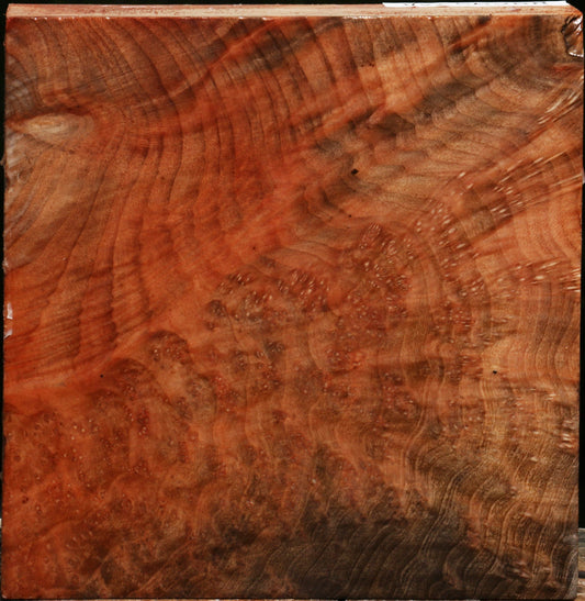 Madrone Burl Bowl Blank