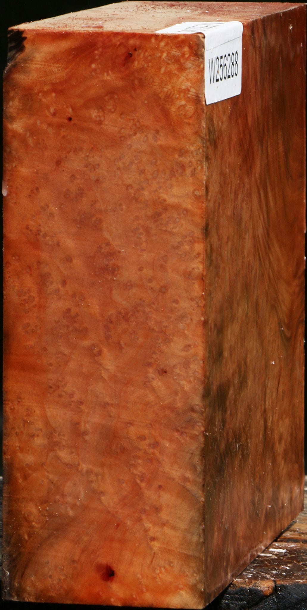 Madrone Burl Bowl Blank