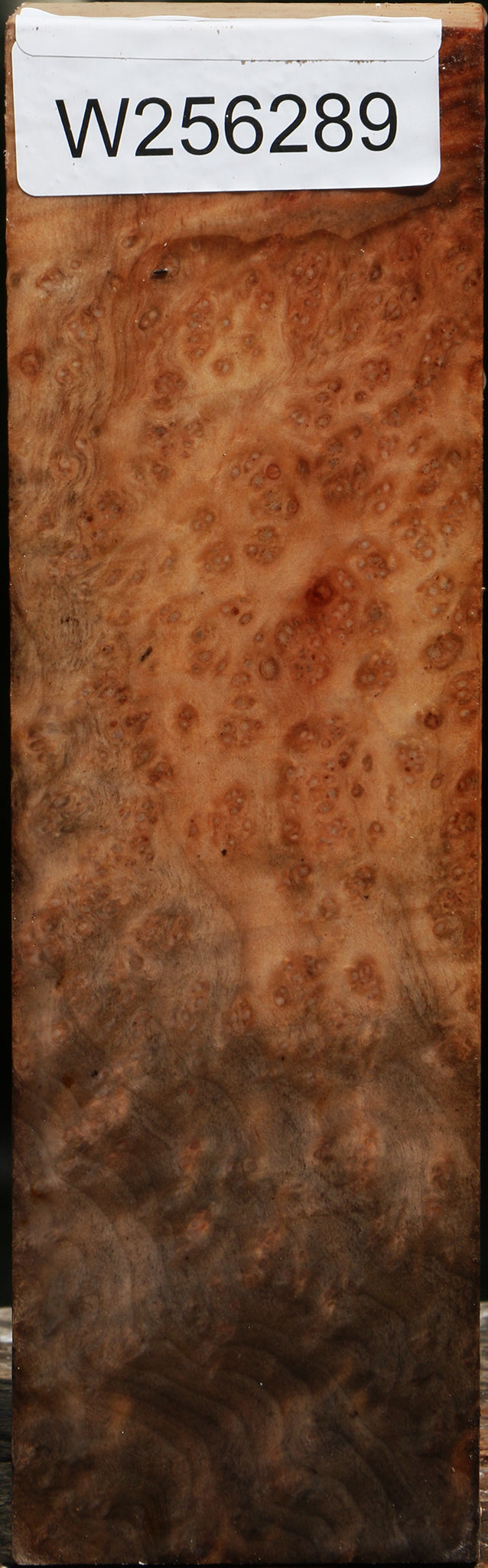 Madrone Burl Peppermill